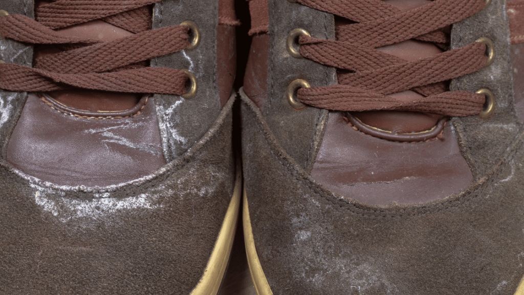 How to Clean Stained Suede Shoes
